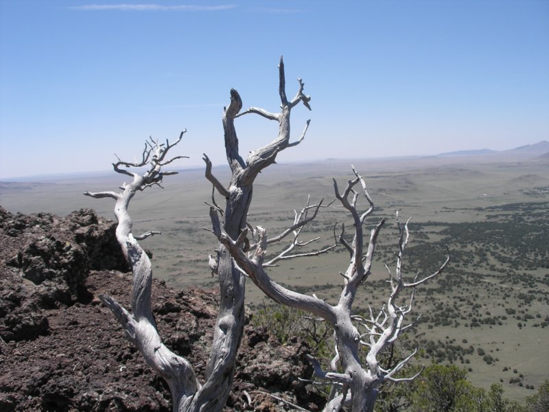 volcanicplain.jpg